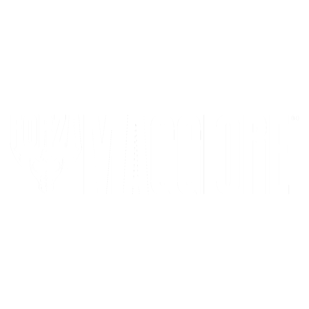Forza Maggiore